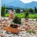 Chiemgauferienwohnungen - Maier Appartement *
